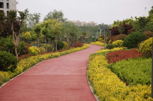 臨沂在線 城市綠化管理的智慧引擎