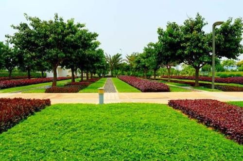 城市綠化工程中需報驗的關(guān)鍵材料與規(guī)范流程